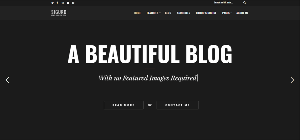 wordpress theme