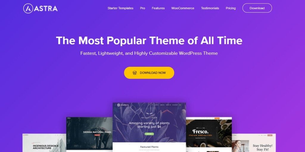 wordpress theme